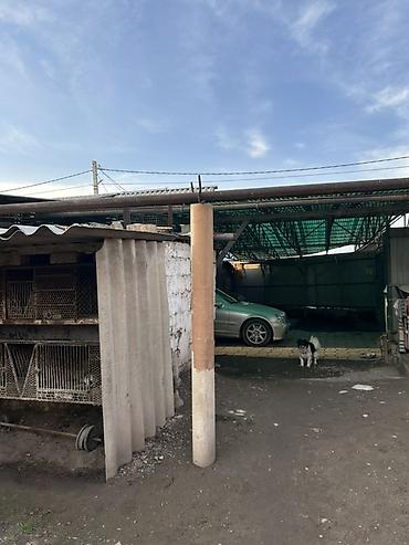 Продажа коттеджей и домов: Продается дом в Маевке. Хороший участок, есть новый фундамент на 120 — 21