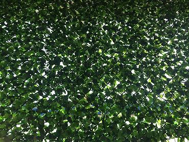 Bağ və bostan üçün digər məhsullar: Yaşıl arakəsmə. Türkiyə istehsalı paslanmayan ikiqat məftil və dörd — 7