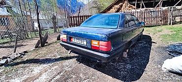 Audi: Audi 100: 1990 г., Седан — 6