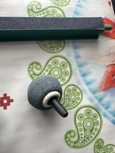 Akvariumlar: Akvaryum dəsti 1 akvaryum tezedi qalan herwey iwlenmiwdi ekseryeti az — 24