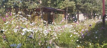 дом в районе пишпек: Коттедж, АБРИКОС Кара-Ой (Долинка), Парковка, стоянка