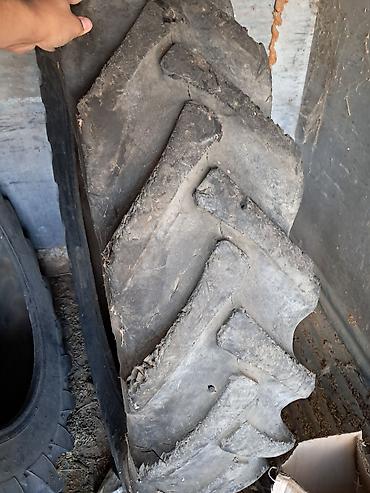 Təkərlər: T-28 ARXA TƏKƏRİ 13/36 - Növ: Traktor/aqrotexnika üçün arxa şinlər - — 3