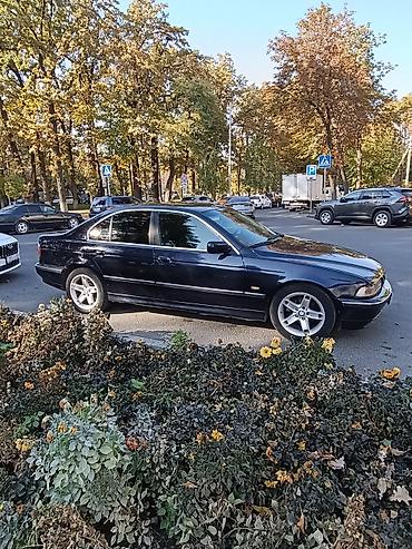 бмв 320i: BMW 5 series: 2000 г., 2.5 л, Автомат, Бензин, Седан — 5
