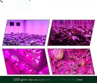 Rasveta: GROW LED TRAKA ZA RAST BILJAKA 3:1 5050 DIODE 12V | *Brojni — 11