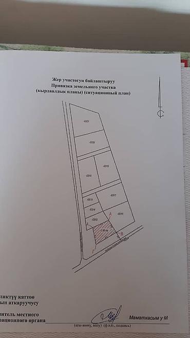 баня в токмоке: 50 соток, Для бизнеса, Красная книга — 4