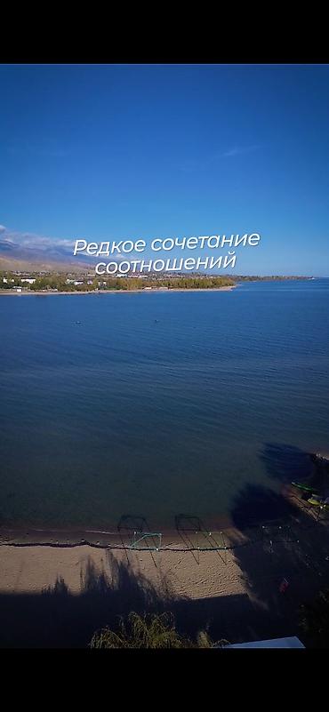 чолп: 83 соток, Бизнес үчүн, Кызыл китеп — 10