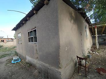 Кыймылсыз мүлк: Продаётся дом село Вознесеновка улица Ворошилова 26 Участок 30 соток — 6