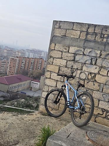 velosiped 25: Toba Xezri Velosiped yaxşı vəziyyətdədir, normal istifadə olunub — 4
