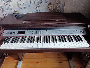 dynacord 2: Endirim edildi ❌️Piano 350 azn Real aliciya endirim var 🏡Sahil — 1