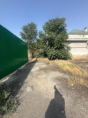 3 room flat: 25 соток, Для строительства, Красная книга — 5