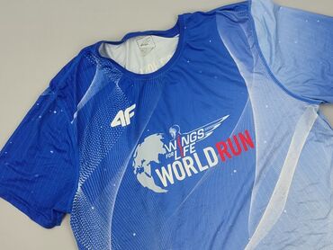 koszulki wisla plock: T-shirt for men, L (EU 40), 4F, condition - Good