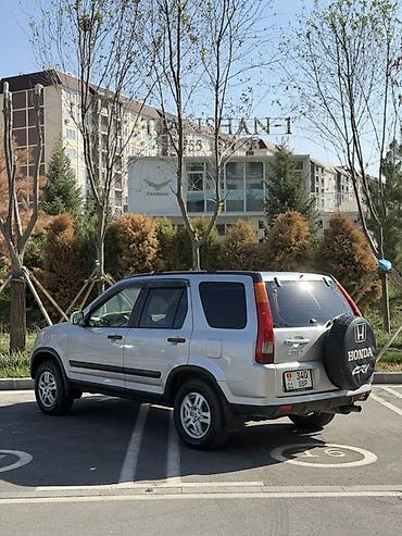 бу чехол: Honda CR-V: 2004 г., 2.4 л, Автомат, Бензин, Кроссовер — 6