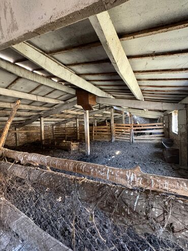 Сельхоз предприятия: Продаю Кошара, 110 соток, Действующий — 13