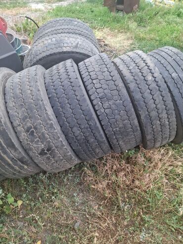 донголок 245 70 19 5: Предлагаются шины размера 265/70R19.5. и 245/70R19.5 Эти шины могут
