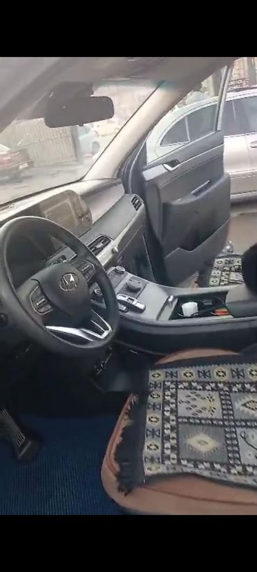 Hyundai: Hyundai Palisade: 2019 г., 3.8 л, Автомат, Бензин, Кроссовер — 5