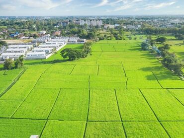 помогу продать: 3 соток, Для сельского хозяйства, Договор купли-продажи, Генеральная доверенность