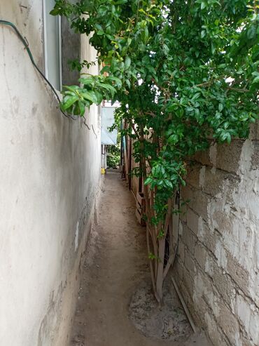 Həyət evləri və villaların satışı: Binə 4 otaqlı, 100 kv. m, Kredit yoxdur, Orta təmir — 24