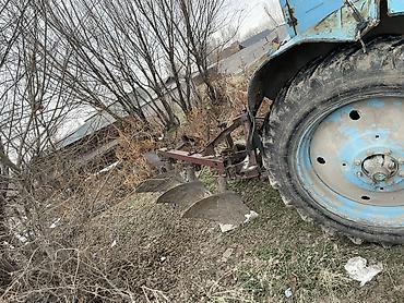 Другие тракторы: Трактор колесный с навесным плугом МТЗ-80 +прицеп. Соко. Арышник — 2