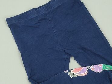 spodnie softshell dla dzieci: Leggings for kids, So cute, 2-3 years, 92/98, condition - Very good