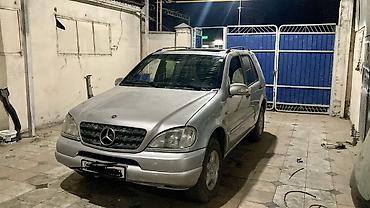 мнрс 124: Mercedes-Benz M-Class: 2000 г., 3.2 л, Типтроник, Газ, Внедорожник — 9