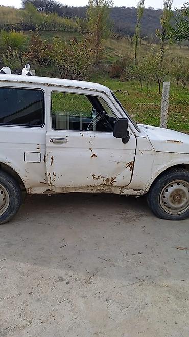 ваз 2107 на разбор: ВАЗ (ЛАДА) 4x4 Нива: 2006 г., Механика, Бензин, Внедорожник — 1