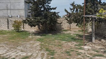 Torpaq sahələrinin satışı: Tikinti, Mülkiyyətçi, Kupça (Çıxarış)