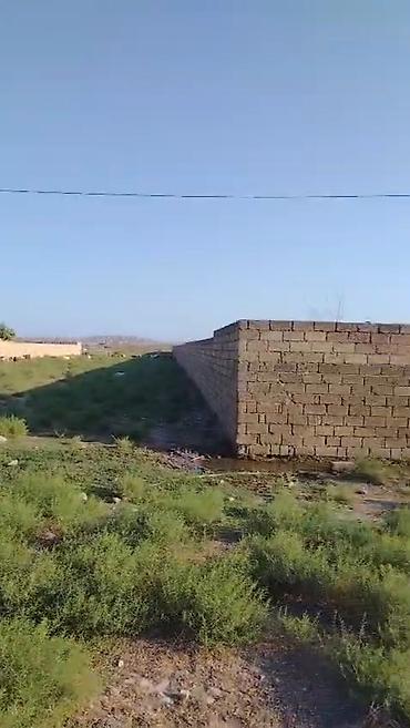 lökbatanda torpaq: 138 sot, Kənd təsərrüfatı, Mülkiyyətçi, Kupça (Çıxarış) — 2