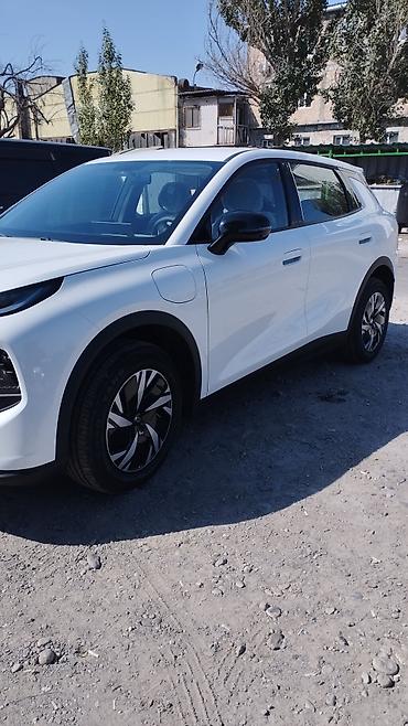 растоможен: Changan Qiyuan Q05: 2026 г., 0.1 л, Вариатор, Электромобиль, Кроссовер — 2
