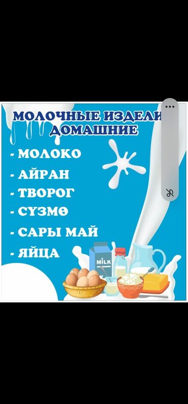 сливочное масло белая река цена: Молоко, айран, каймак, сут, творог 100 % натуральный чистый свежий