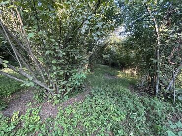 Kirayə torpaq sahələri: Kənd təsərrüfatı -da lalafo.az — 9 Kirayə torpaq sahələri: Kənd təsərrüfatı — 9