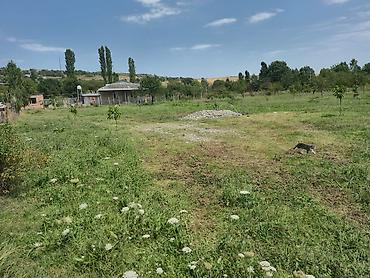 Torpaq sahələrinin satışı: 25 sot, Tikinti, Mülkiyyətçi, Kupça (Çıxarış) — 1