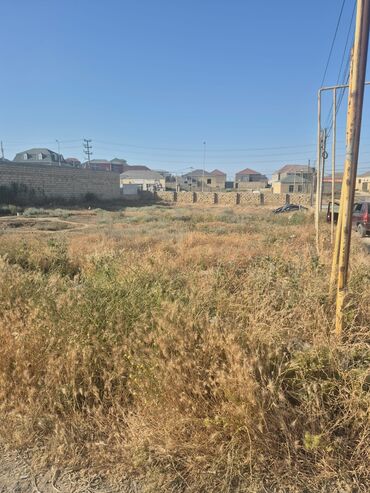 Bağ və bostan üçün digər məhsullar: Torpaq 10 Sot Kupçalı Təcili Satılır Xocəsən Yolu Üstündə Real