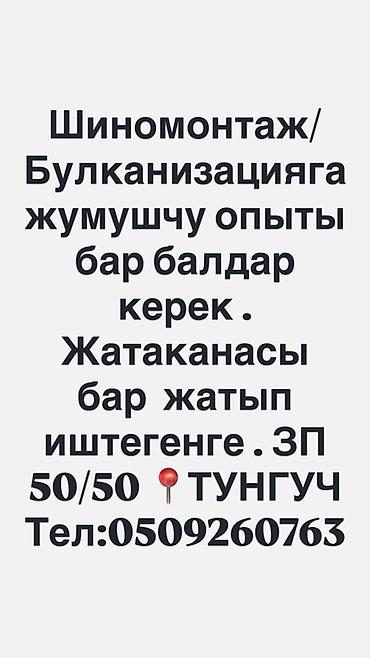 вулкан: Шиномонтажга опытный жумушчулар керек ! ЗП 50/50 . Жатакана шарты бар — 3