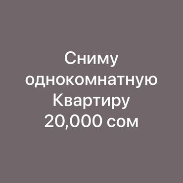 квартиру однокомнатная: 1 комната, 25 м², С мебелью