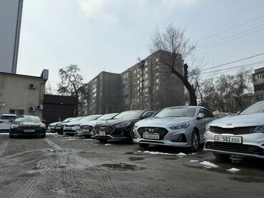 kia в рассрочку: Kia K5: 2018 г., 2 л, Автомат, Газ, Седан