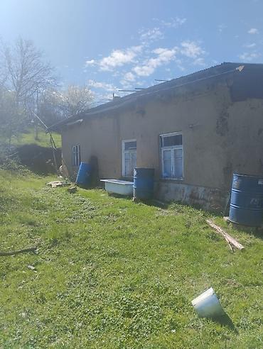 kiraye ile satilan evler: Dağ mənzərəli torpaq sahəsi və köhnə tikili - Geniş yaşıllıqla — 2