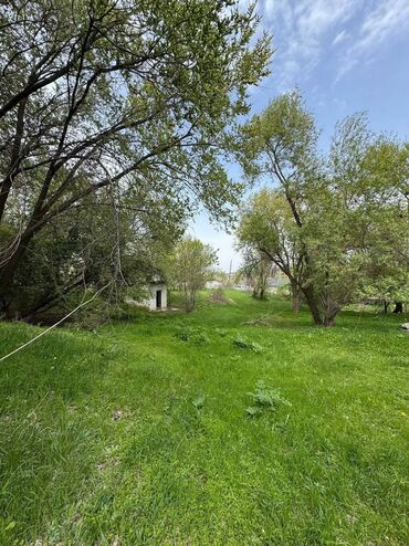 Продажа участков: 64 соток, Для бизнеса, Красная книга
