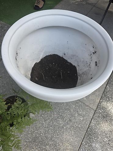 4 pot: Кашпо и вазоны — 2