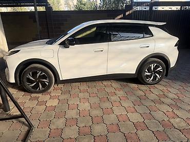 горить: Changan Qiyuan Q05: 2026 г., Электромобиль — 1