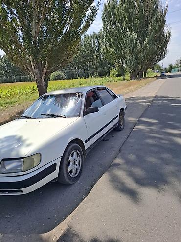 e53 amg: Audi 100: 1992 г., 2 л, Механика, Бензин, Седан — 3