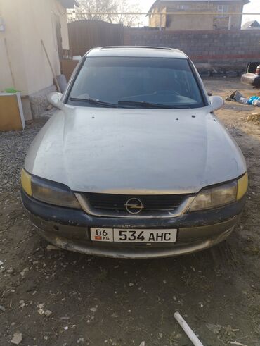 продается экскаватор: Opel Vectra: 1997 г., 1.6 л, Механика, Бензин, Седан