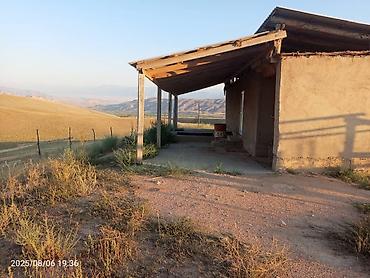 Продажа сельхоз предприятий: Токтогул шаары котормо айылынан айылдын четинен сарай уйу мн сатылат — 7