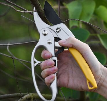 Ручные секаторы: Ручные секаторы, Платная доставка, Самовывоз — 4