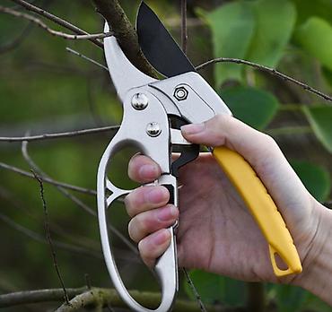 Ручные секаторы: Ручные секаторы, Самовывоз, Платная доставка — 18