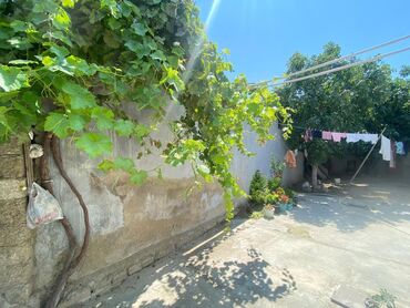 Qonaq otağı dəstləri: Divan, Kredit yoxdur — 19