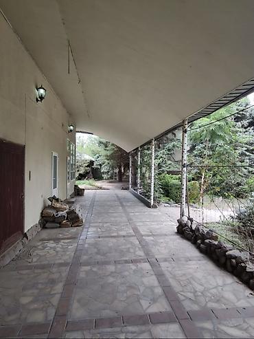 Долгосрочная аренда домов: 384 м², 5 комнат — 5