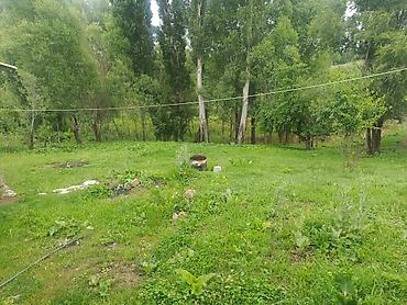 Продажа коттеджей и домов: Жилой дом с участком - Дом одноэтажный, кирпичный/шлакоблочный, с — 2