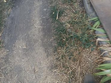 Продажа коттеджей и домов: Продаётся дом село Полтавке в одном участке два дома 1ый дом полтора — 10