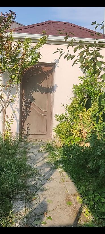 Torpaq sahələrinin satışı: Tikinti, Kupça (Çıxarış) -da lalafo.az — 12 Torpaq sahələrinin satışı: Tikinti, Kupça (Çıxarış) — 12