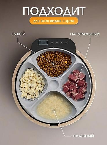 Зоотовары: Умная кормушка автоматическая для собак и кошек для влажного корма или — 2